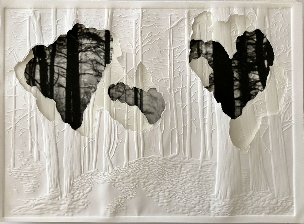 Grabado gofrado e imagen digital sobre 3 papeles superpuestos Rosa Espina de Hahnemühle de 300 g 55×40 cm / Embossed engraving and digital image on 3 superimposed Hahnemühle Thorn Pink papers of 300 g 55×40 cm