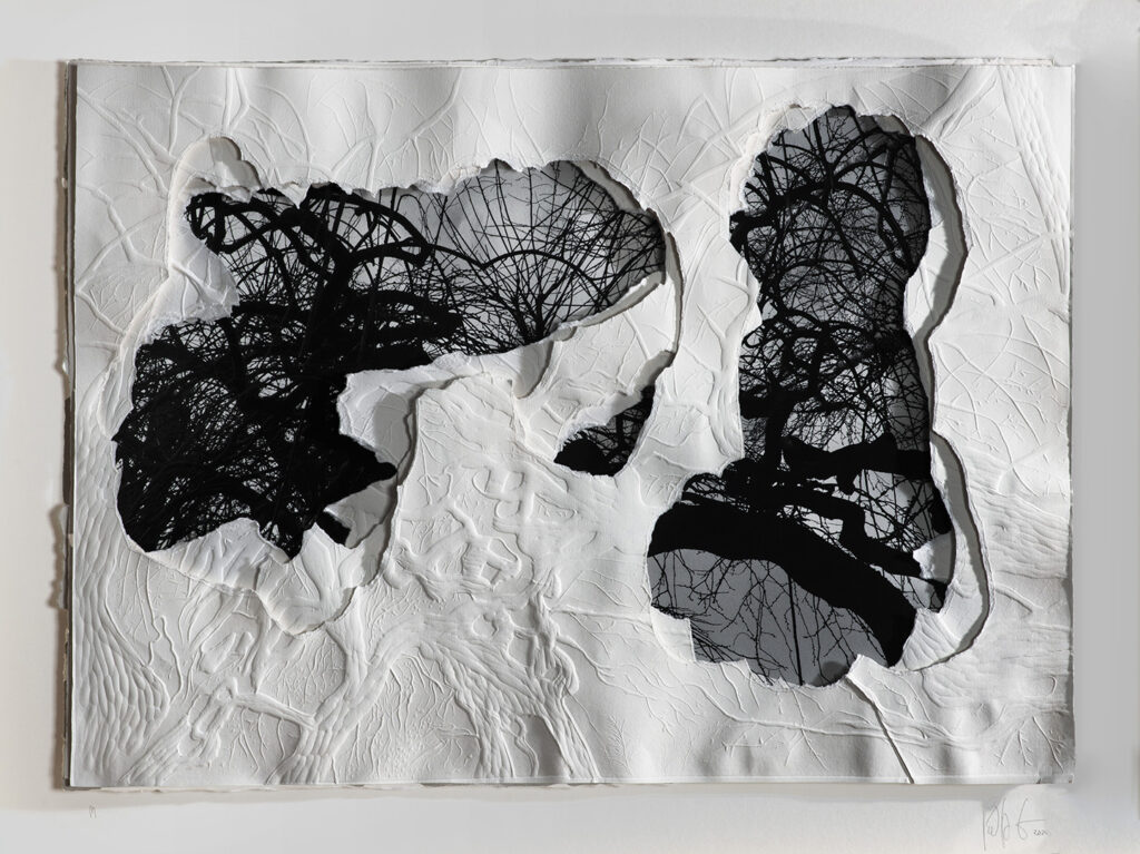 Grabado gofrado e imagen digital sobre 3 papeles superpuestos Rosa Espina de Hahnemühle de 300 g 55×40 cm / Embossed engraving and digital image on 3 superimposed Hahnemühle Thorn Pink papers of 300 g 55×40 cm