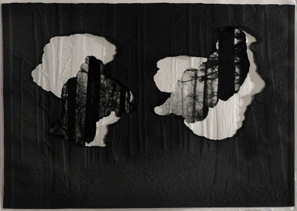 Grabado gofrado e imagen digital sobre 3 papeles superpuestos Rosa Espina de Hahnemühle y negro de 300 g 55×40 cm / Embossed engraving and digital image on 3 superimposed Hahnemühle Thorn Pink and black papers of 300 g 55×40 cm