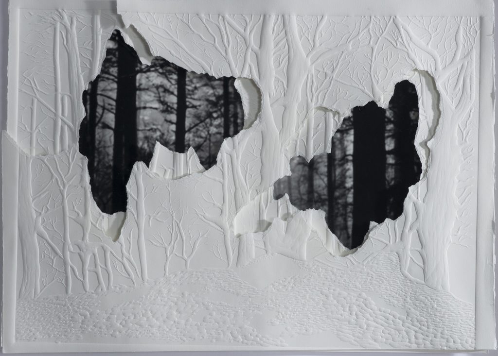 Grabado gofrado e imagen digital sobre 3 papeles superpuestos Rosa Espina de Hahnemühle de 300 g 55×40 cm / Embossed engraving and digital image on 3 superimposed Hahnemühle Thorn Pink papers of 300 g 55×40 cm