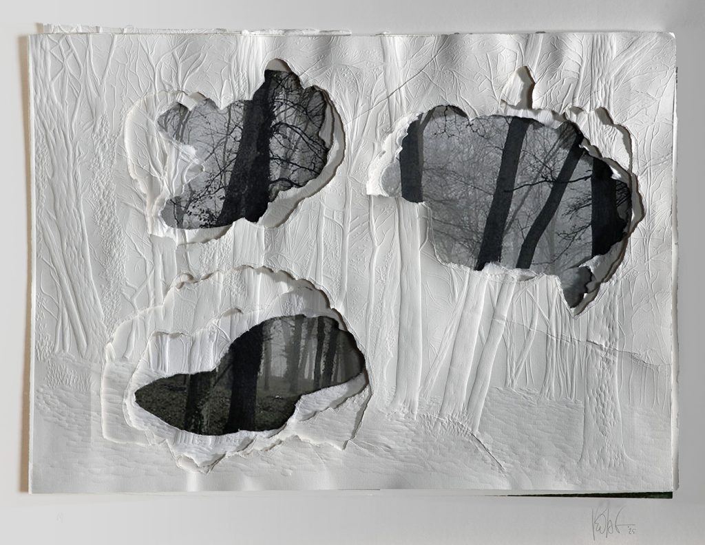 Grabado gofrado e imagen digital sobre 3 papeles superpuestos Rosa Espina de Hahnemühle de 300 g 55×40 cm / Embossed engraving and digital image on 3 superimposed Hahnemühle Thorn Pink papers of 300 g 55×40 cm